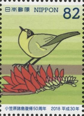 Bonin Eyeglasses Bird (Apalopteron familiare)