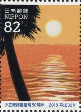 Sunrise Through Palm Trees