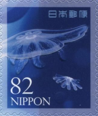 Jellyfish