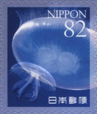 Jellyfish