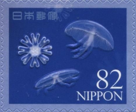Jellyfish