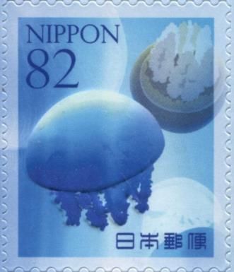 Jellyfish