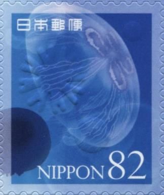 Jellyfish