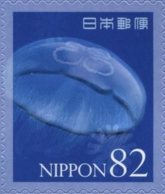 Jellyfish