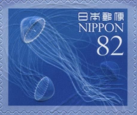 Jellyfish