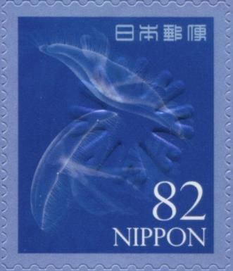 Jellyfish