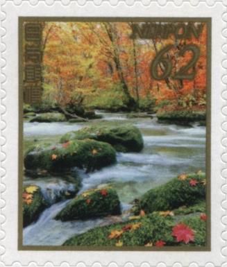 Woodland Stream