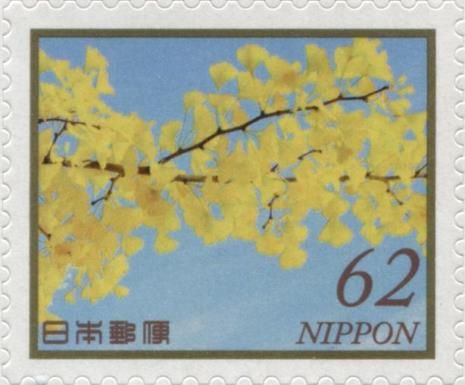 Ginkgo Tree