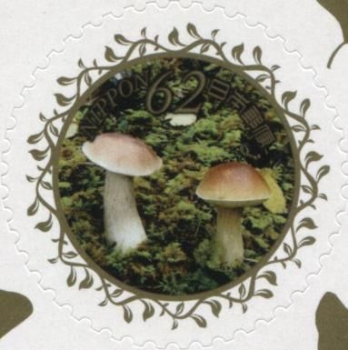 Mushrooms