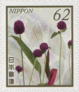 Flowering Leek