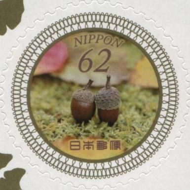 Acorns