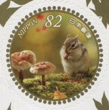 Mushrooms and Sibierian Chipmunk (Eutamias sibiricus)