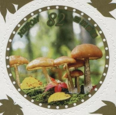 Mushrooms