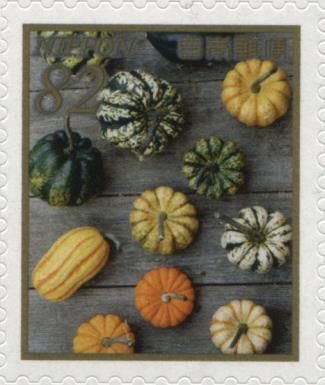 Gourds