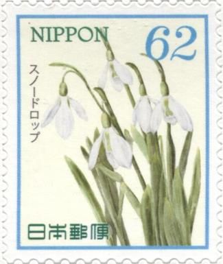 Snowdrops (Galanthus nivalis)