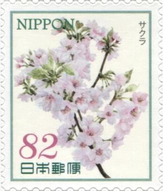 Cherry Blossoms
