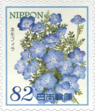 Baby Blue Eyes (Nemophila menziesii)