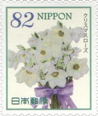 Christmas Rose