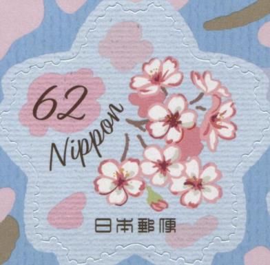 Cherry Blossoms