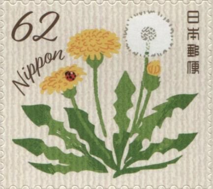 Dandelion