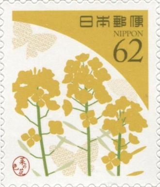 Rapeseed Blossom Yellow
