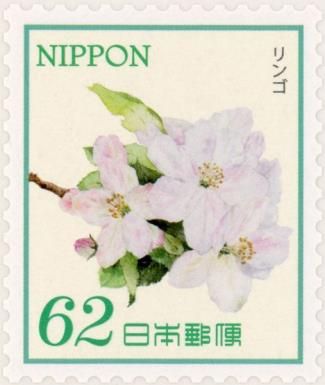 Apple Blossoms