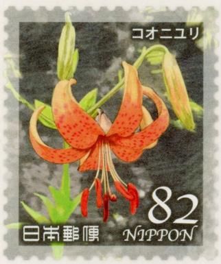 Tiger Lily (Lilium lancifolium)