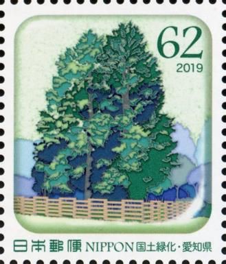 Japanese Cypress