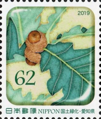 Mongolian Oak