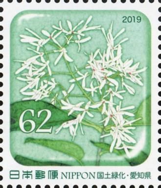 Chinese Fringe Tree