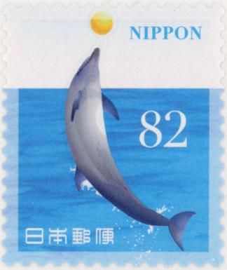 Spinner Dolphin (Stenella longirostris)