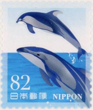 Pacific White-sided Dolphin (Sagmatias obliquidens)