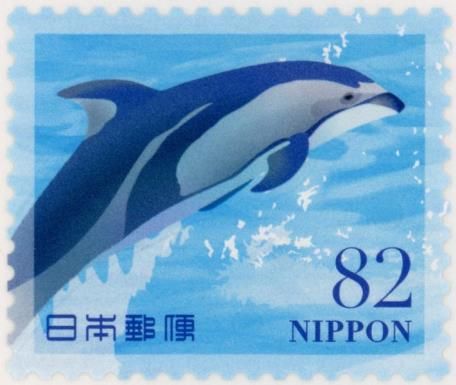 Pacific White-sided Dolphin (Sagmatias obliquidens)