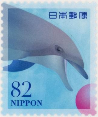 Spinner Dolphin (Stenella longirostris)
