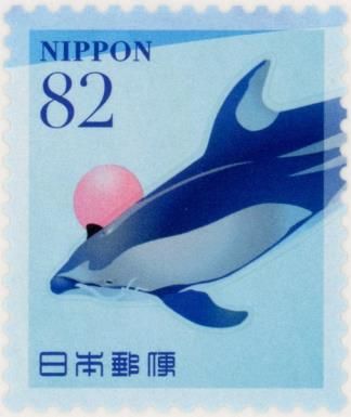 Pacific White-sided Dolphin (Sagmatias obliquidens)