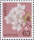 Yoshino Cherry Blossom