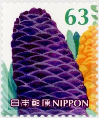 Pine Cone