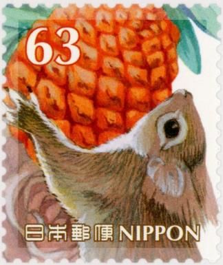 Squirrel and Pine Cone