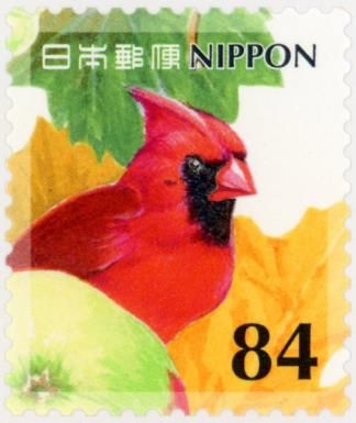 Northern Cardinal (Cardinalis cardinalis) and Fruits