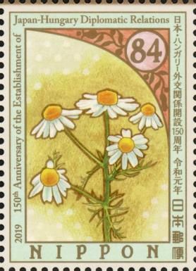 Chamomile