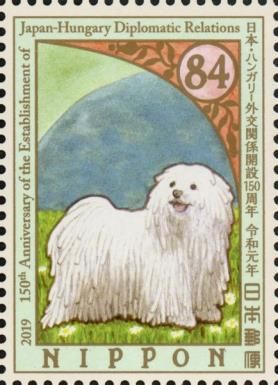 Puli Dog