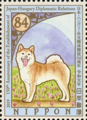 Shiba Inu