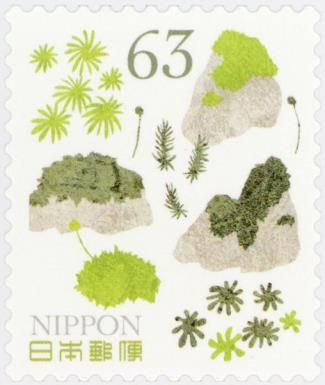 Moss