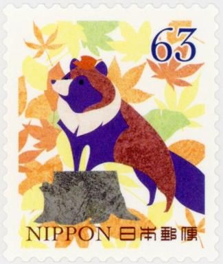 Tanuki (Nyctereutes procyonoides)