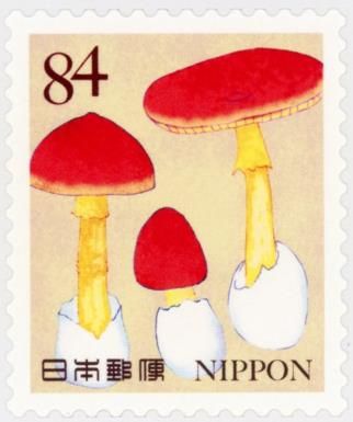 Mushrooms