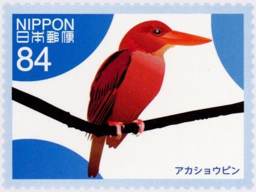 Ruddy Kingfisher (Halcyon coromanda)​