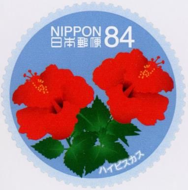 Hibiscus