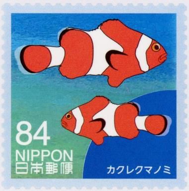 Clownfish