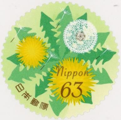 Dandelions
