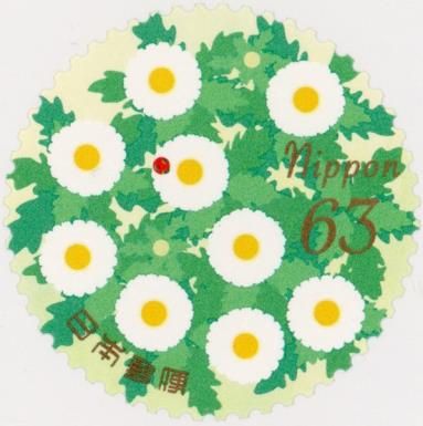 Daisies and Ladybug